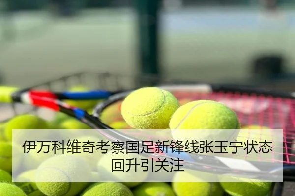 伊万科维奇考察国足新锋线张玉宁状态回升引关注