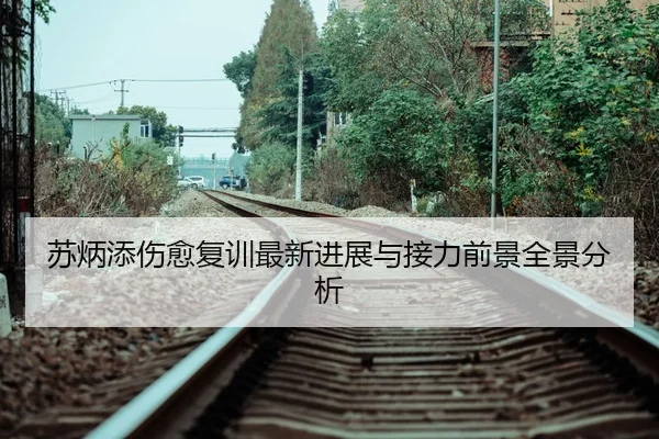 苏炳添伤愈复训最新进展与接力前景全景分析